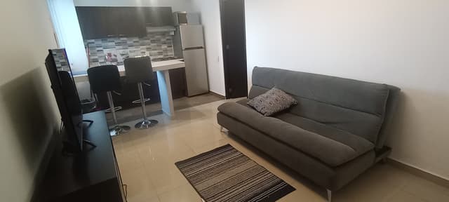 Renta Dpto. Tipo Suite AMUEBLADA en Palo Solo