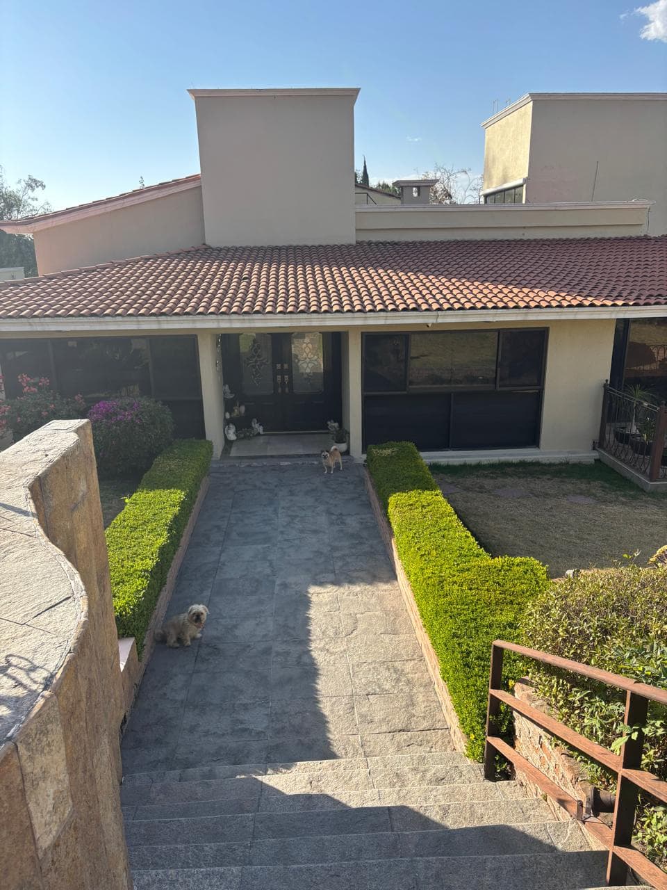 Fotos adicionales