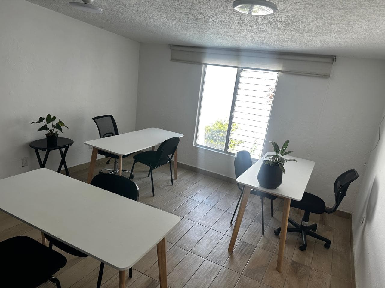 Fotos adicionales