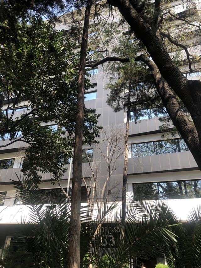 Oficina en renta en San José Insurgentes