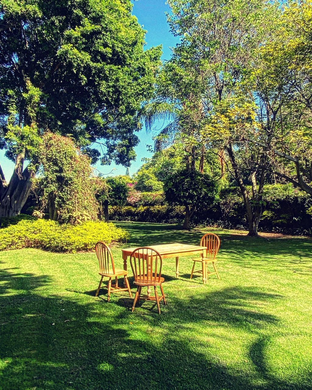 Fotos adicionales