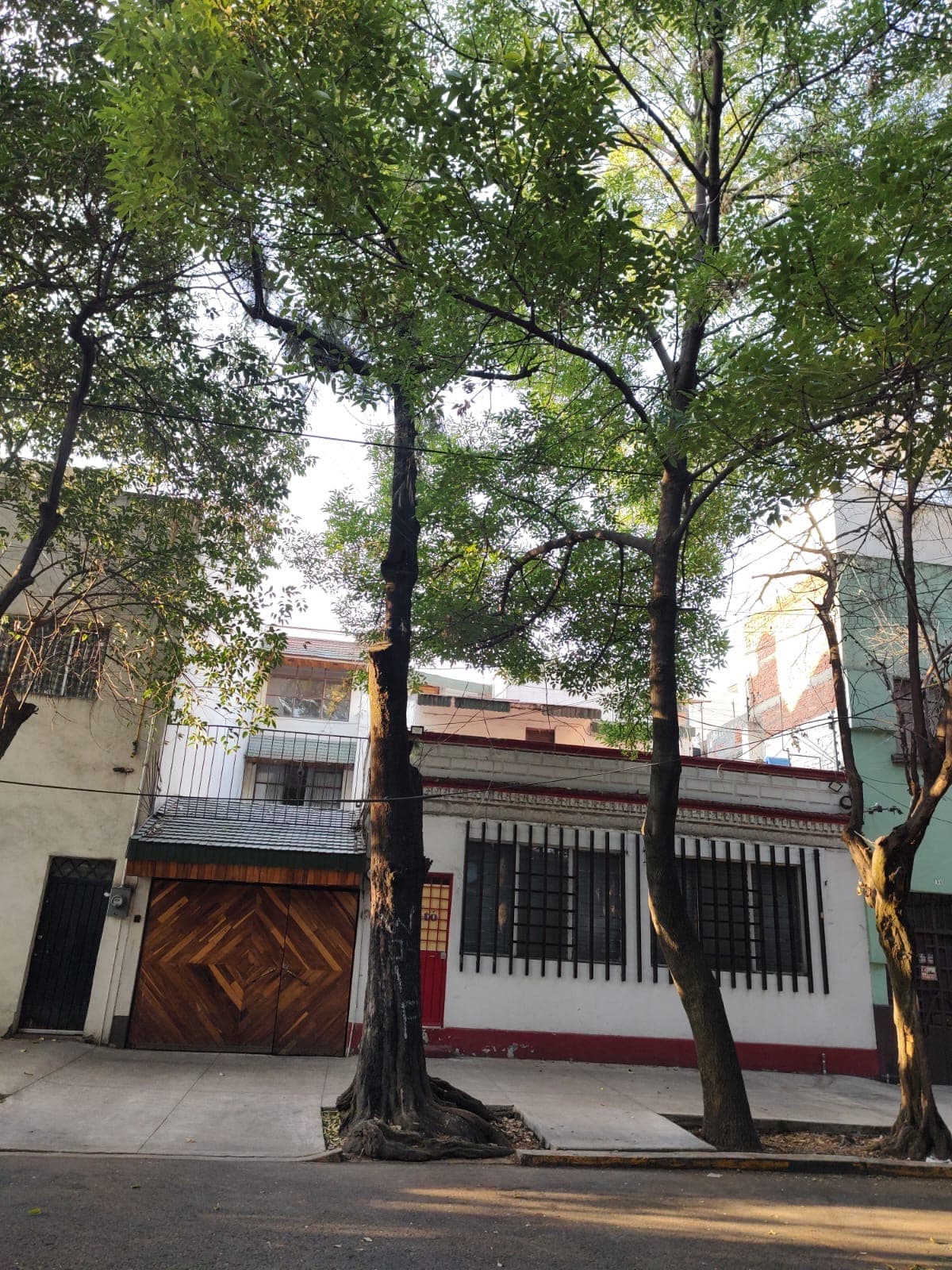 Fotos adicionales