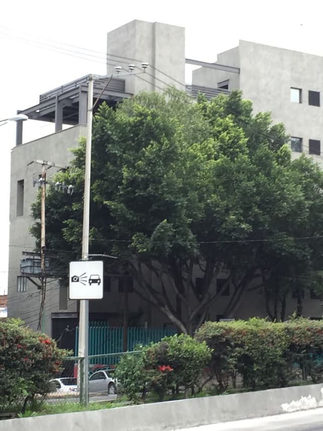 Edificio en Venta San Miguel Chapultepec