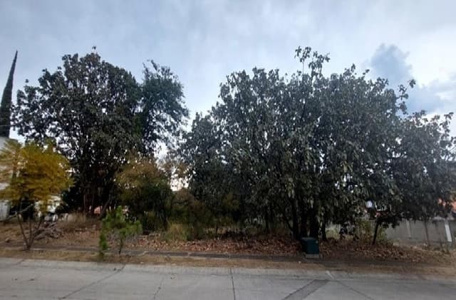 TERRENO EN VENTA EN EL PALOMAR