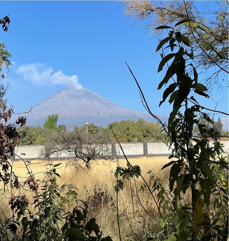 Fotos adicionales