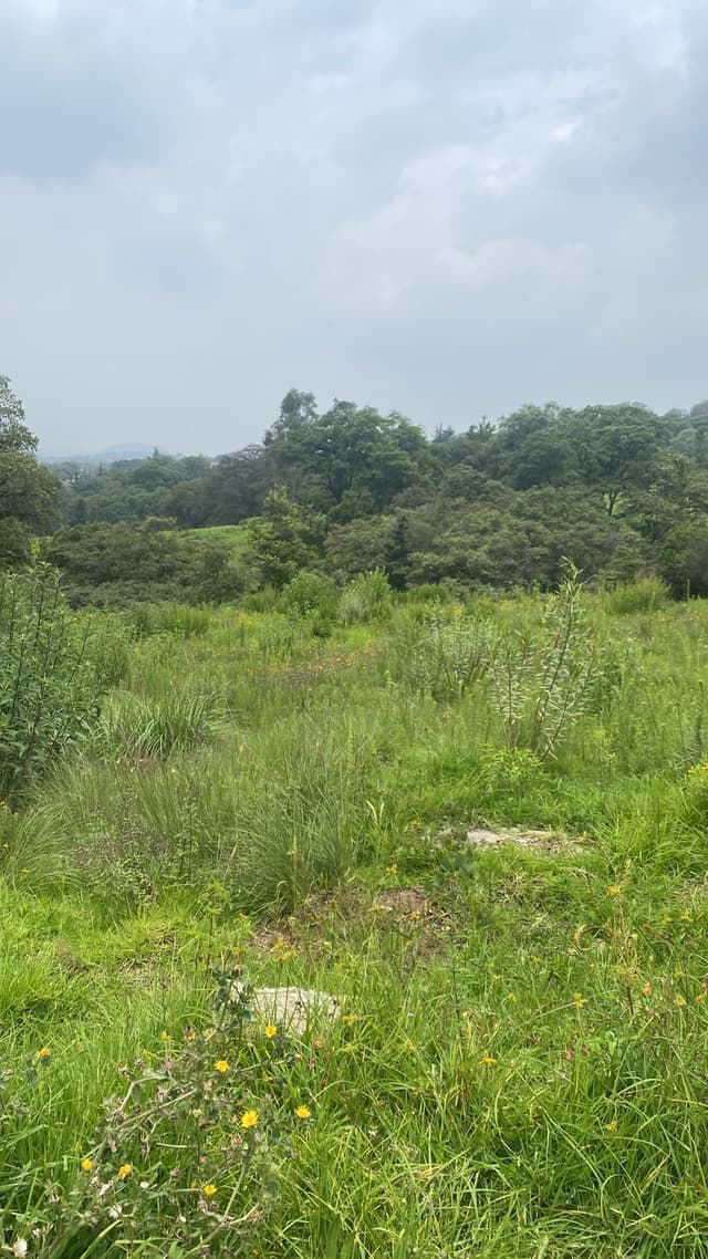 Terreno Residencial en venta en Condado de Sayavedra