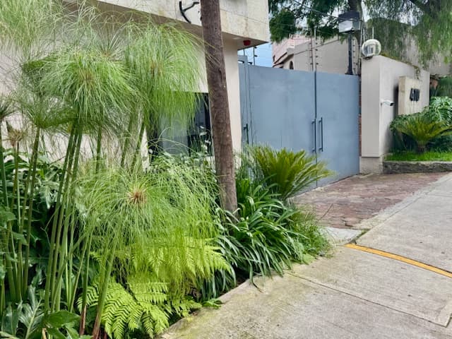 Fotos adicionales