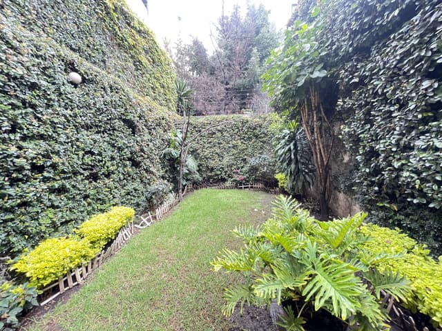 Terreno en venta en Narvarte Oriente 6 Recámaras