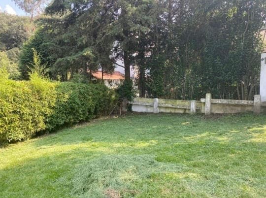 Fotos adicionales