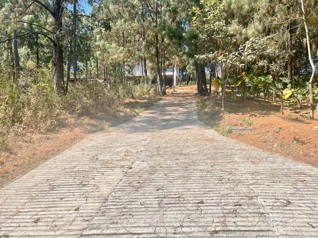 Terreno en venta Cerro Gordo