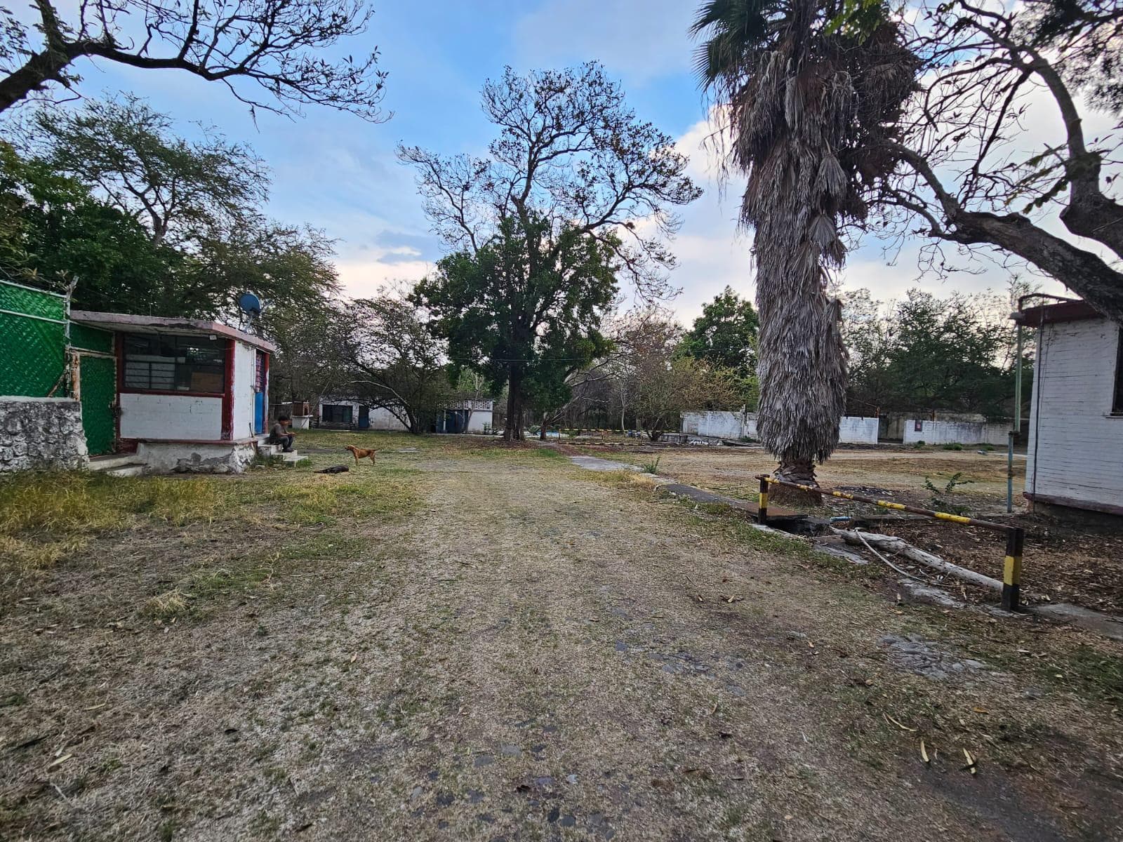 Fotos adicionales