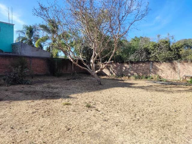 TERRAZA EN VENTA EN LA PRIMAVERA