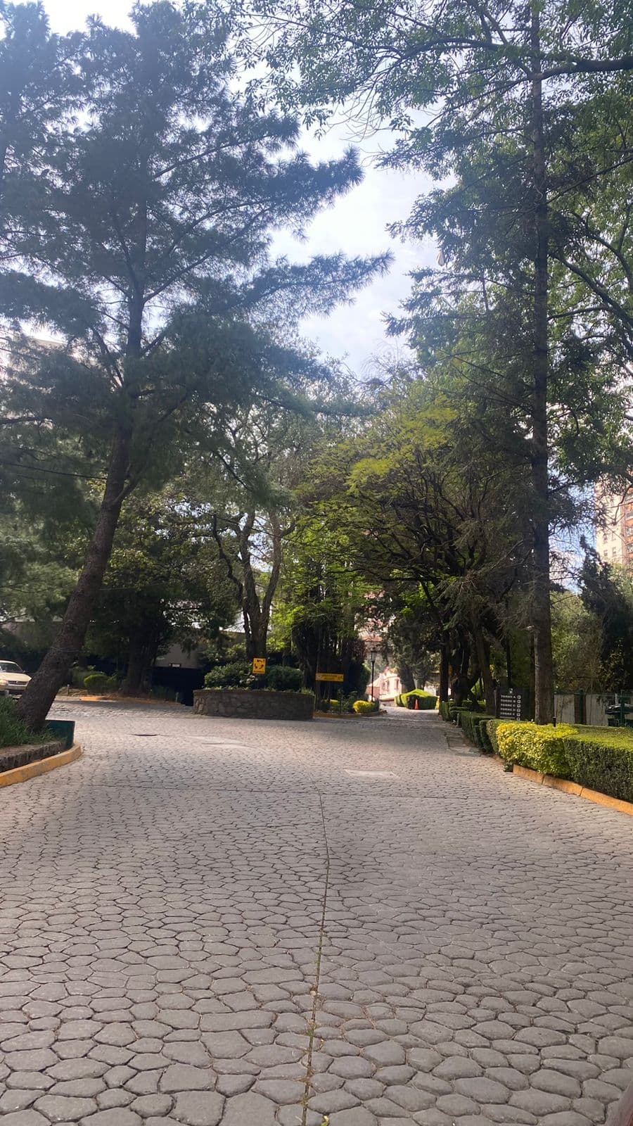 Fotos adicionales