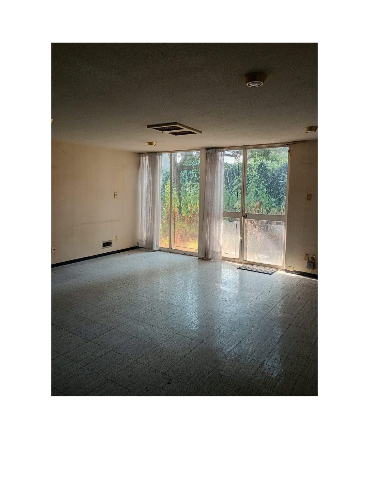 Fotos adicionales