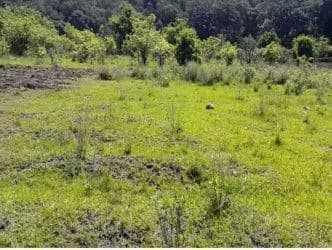 TERRENO EN VENTA CUAUTLA ESTADO DE MEXICO