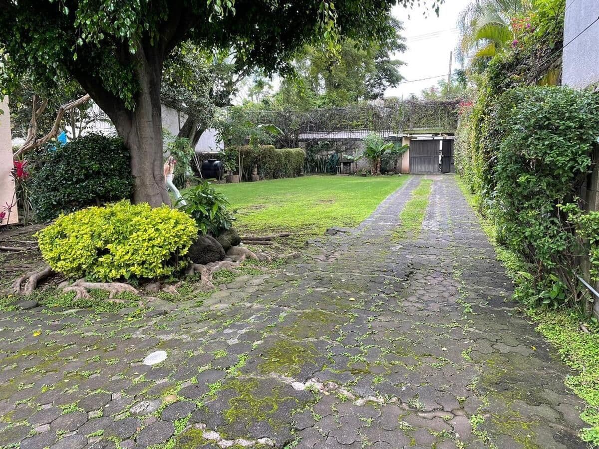 Fotos adicionales