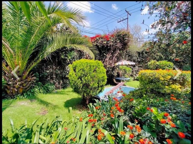 VENTA DE TERRENO EN OLIVAR DE LOS PADRES PARTE BAJ