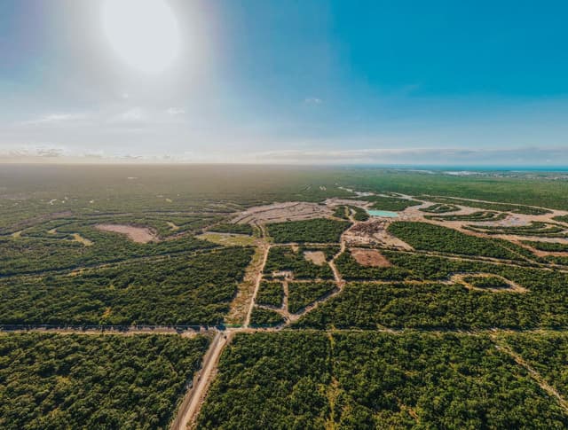 Terreno en Venta en Mérida
