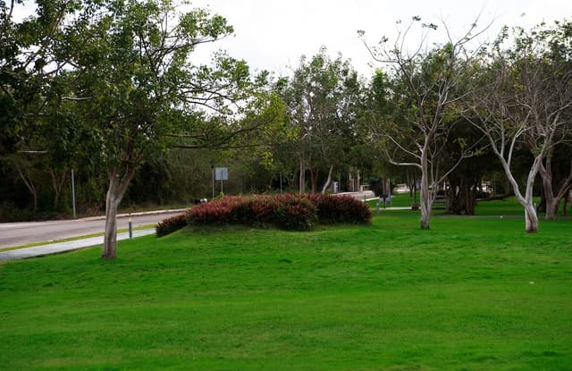Terrenos Residenciales Mérida
