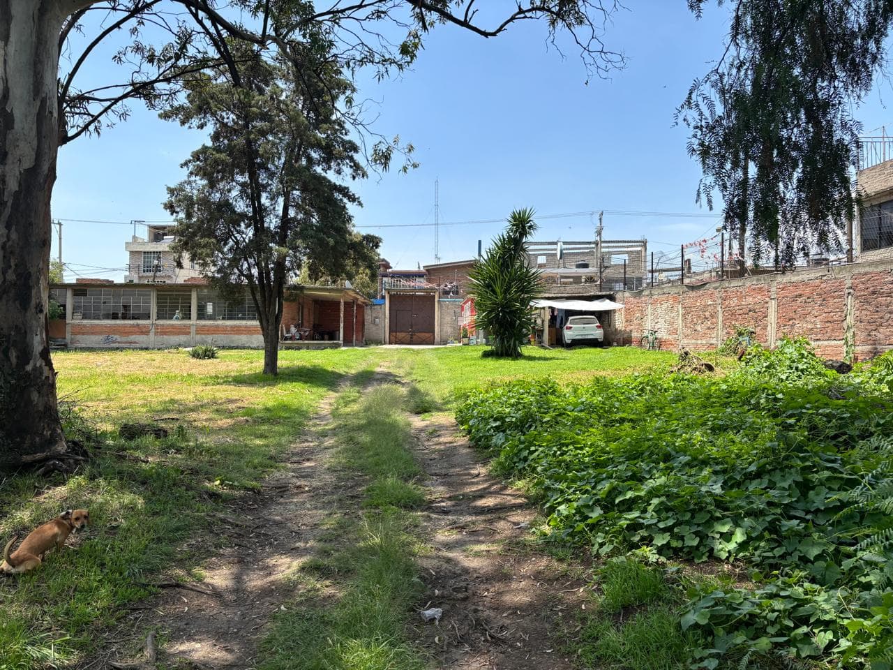 Fotos adicionales