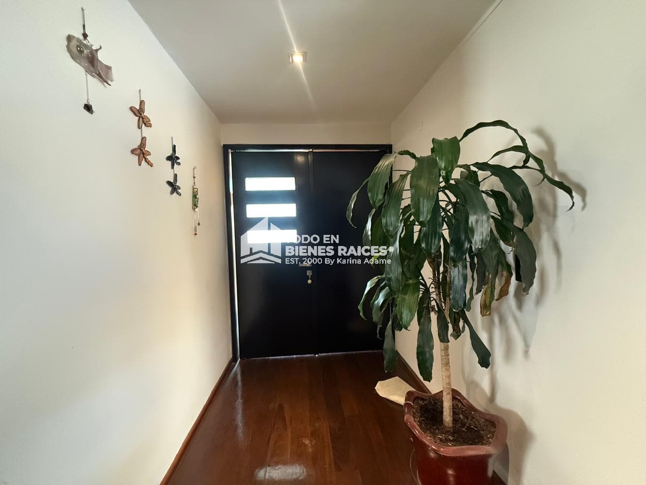 Fotos adicionales