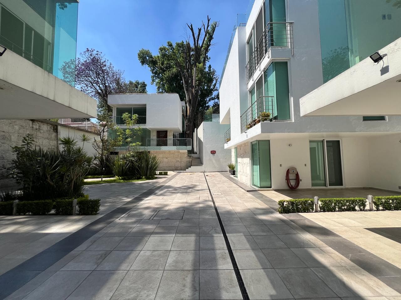 Fotos adicionales