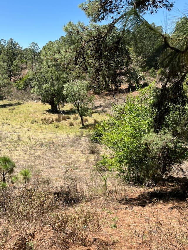 Terreno Residencial en venta en Pueblo Atemajac de Brizuela