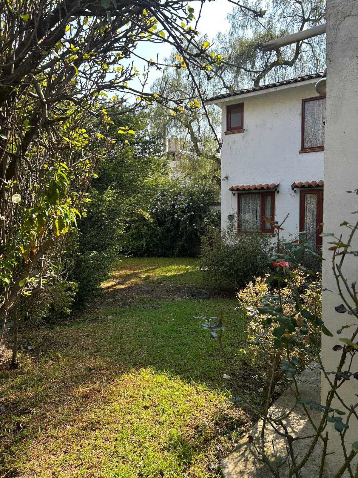 Fotos adicionales