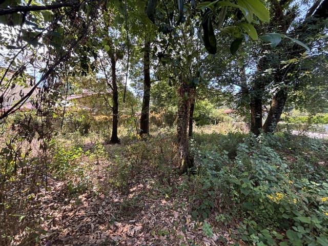 Terreno en venta Avandaro