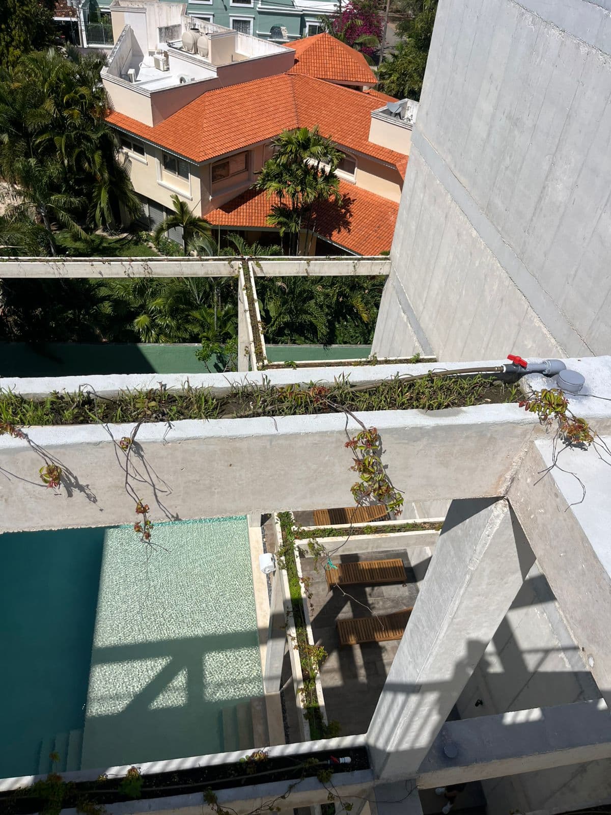 Fotos adicionales