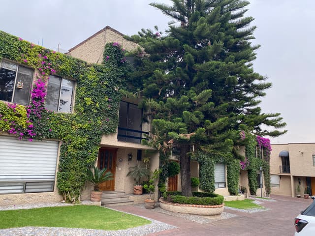 Venta Casa en Condominio en San Angel cerca de Altavista y San Jacinto