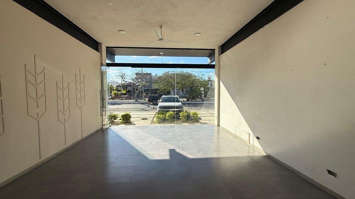 Fotos adicionales