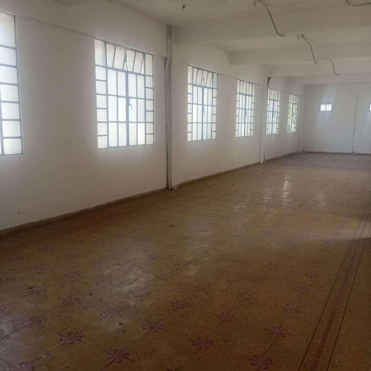 Fotos adicionales