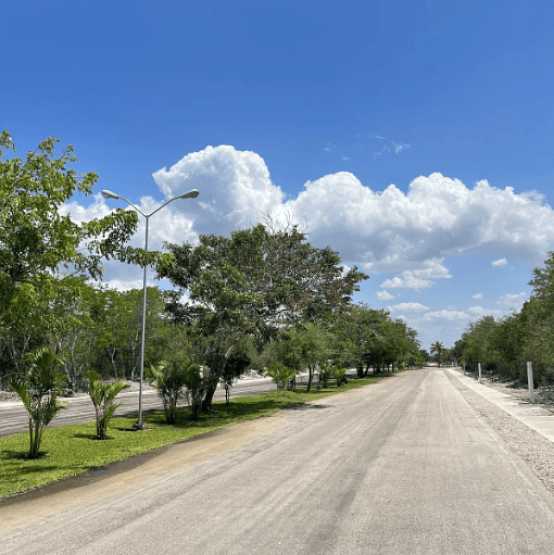 Terreno Residencial en venta en Fraccionamiento San Lorenzo