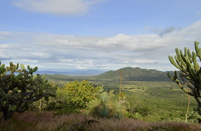 Terreno Ecoturistico en Pueblo Escolástica