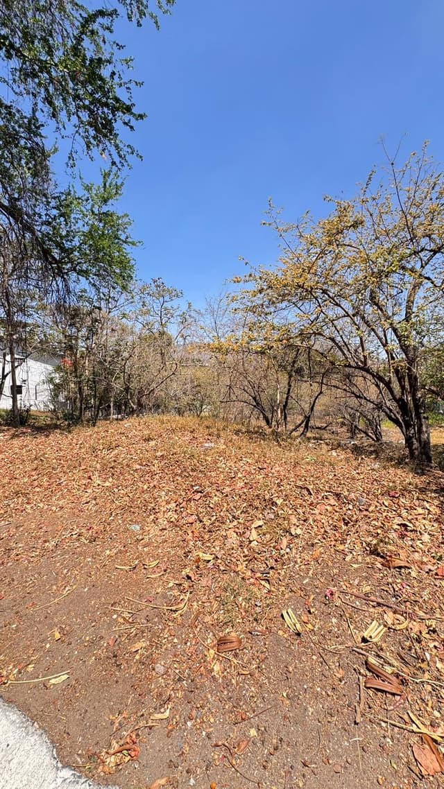 TERRENO EN VENTA EN LAS CAÑADAS