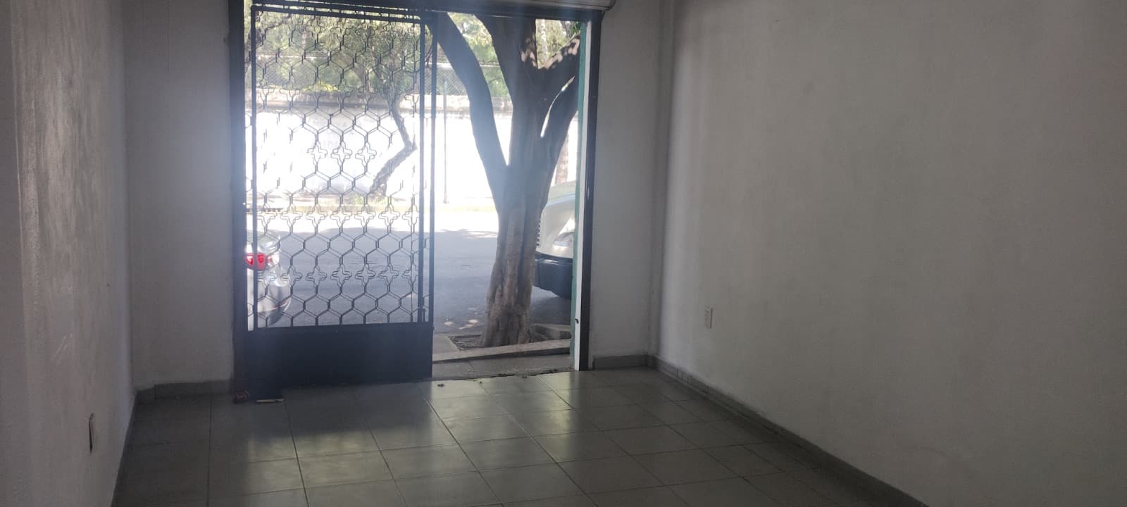 Fotos adicionales