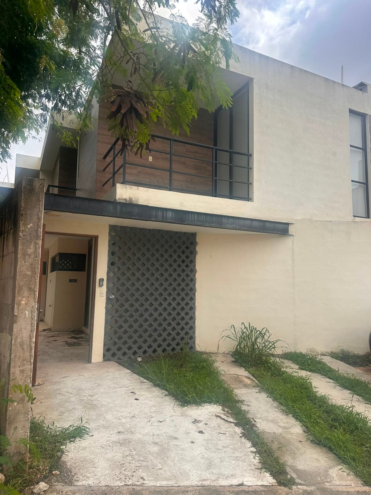 Fotos adicionales