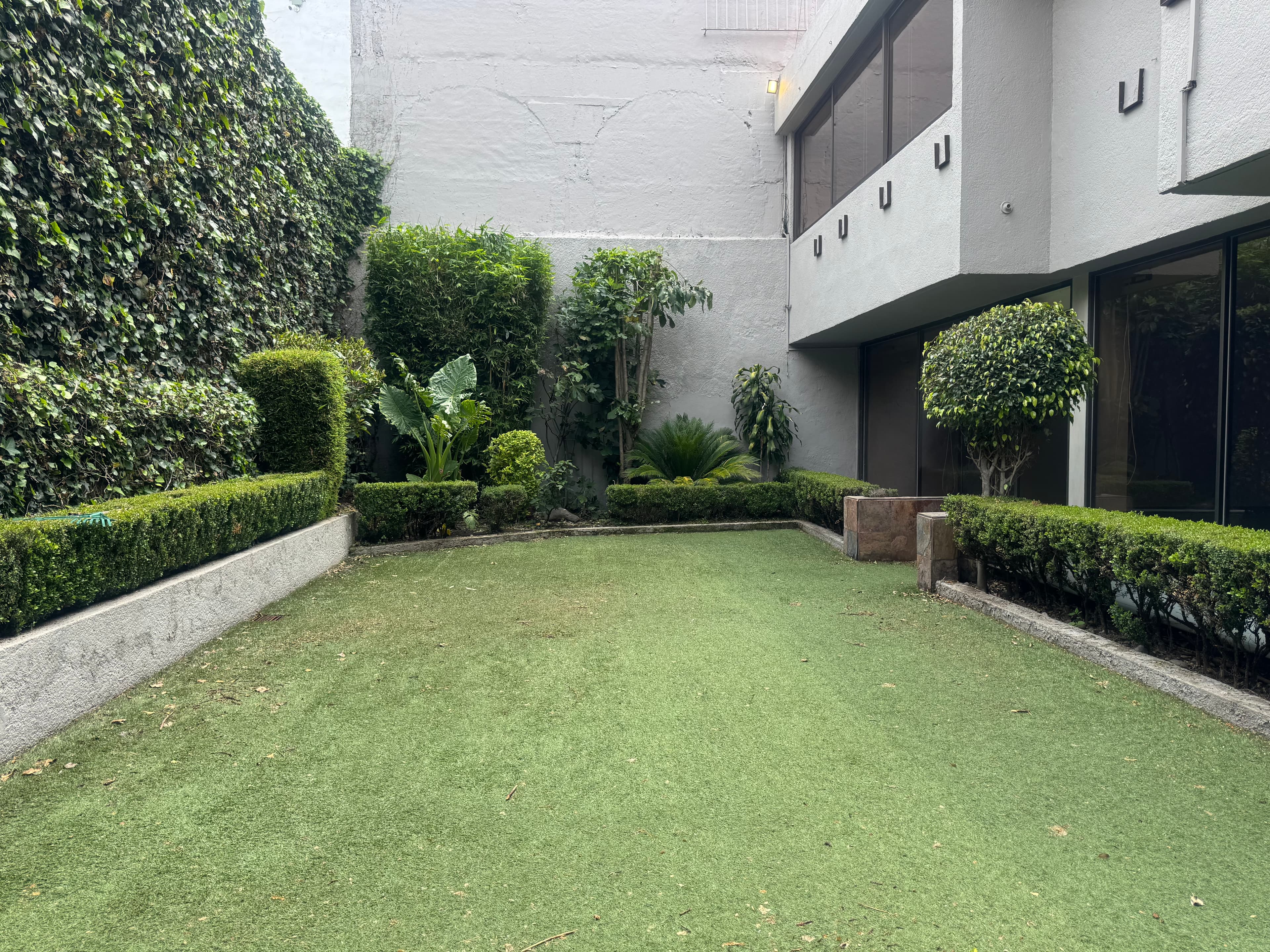 Fotos adicionales