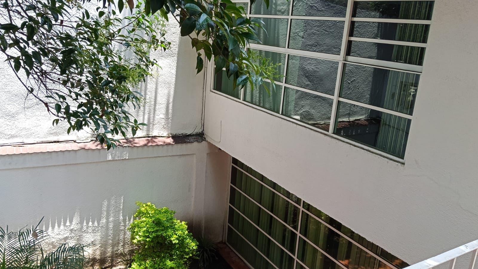 Fotos adicionales