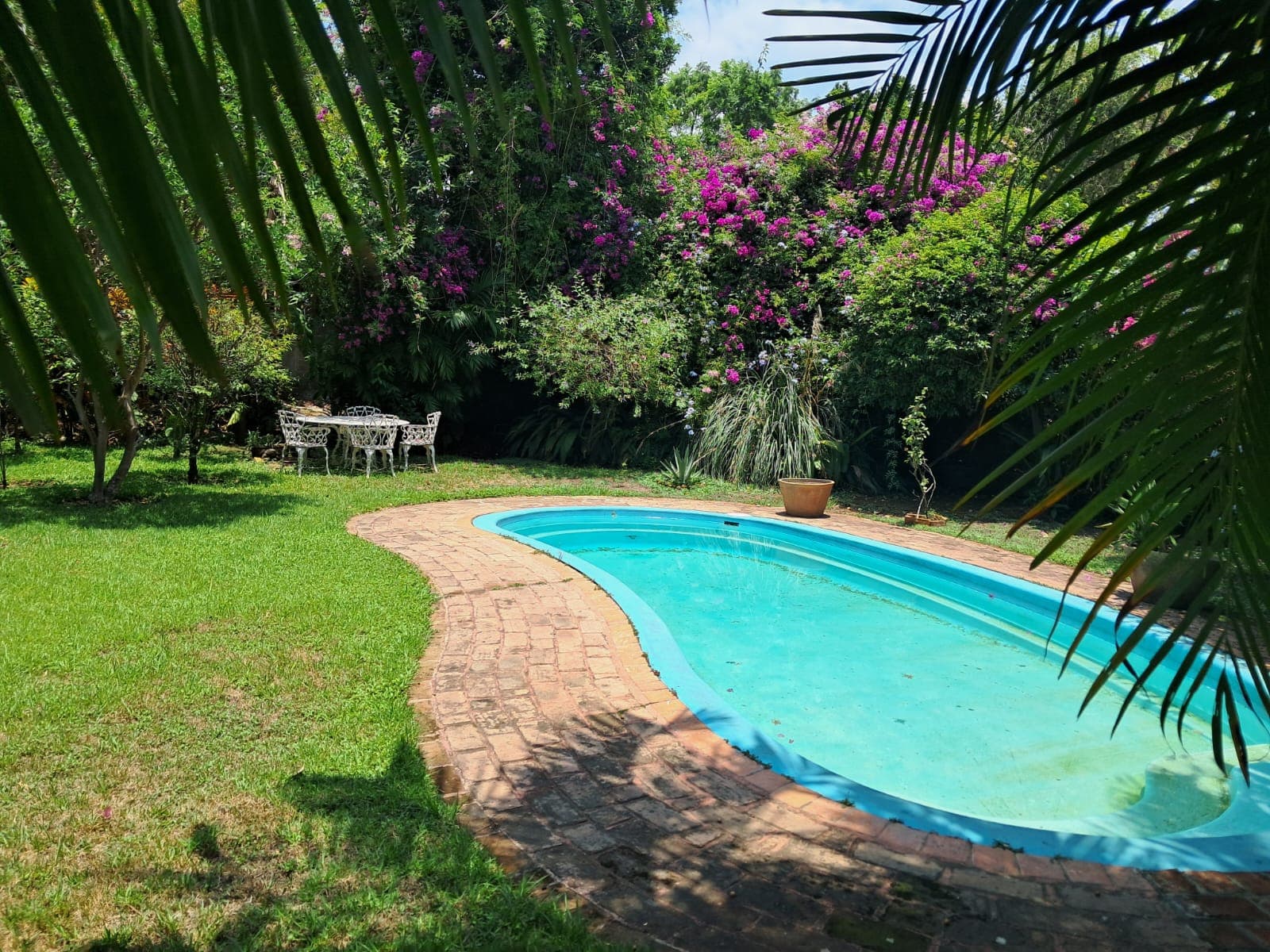 Fotos adicionales