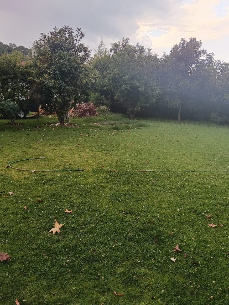 Fotos adicionales