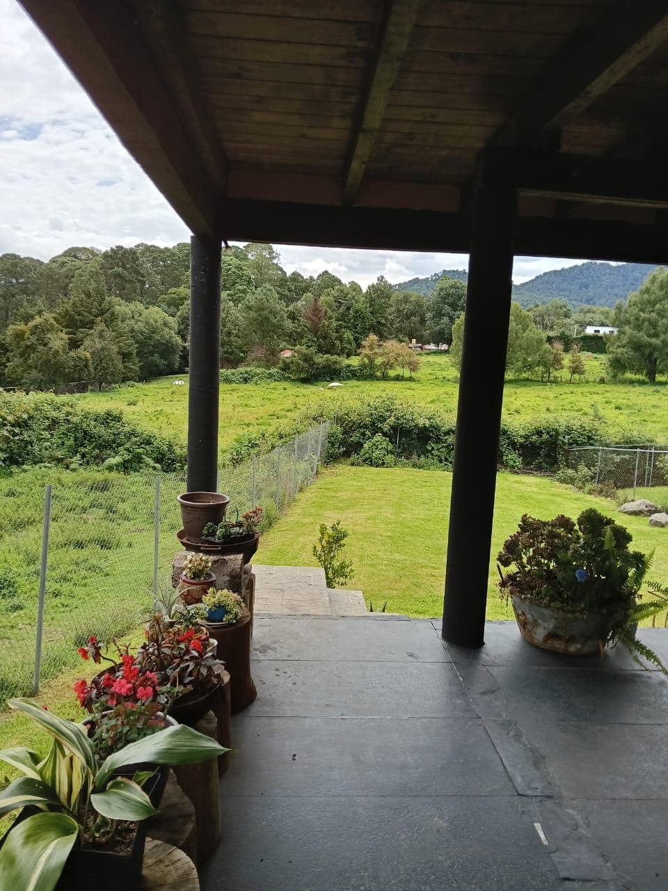 Fotos adicionales