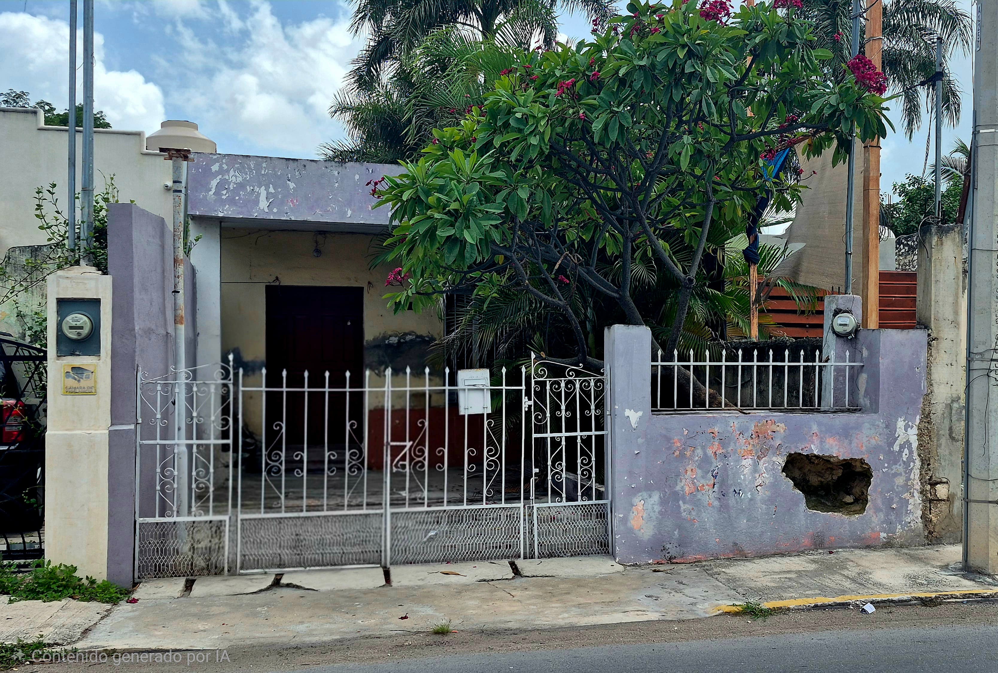 Fotos adicionales