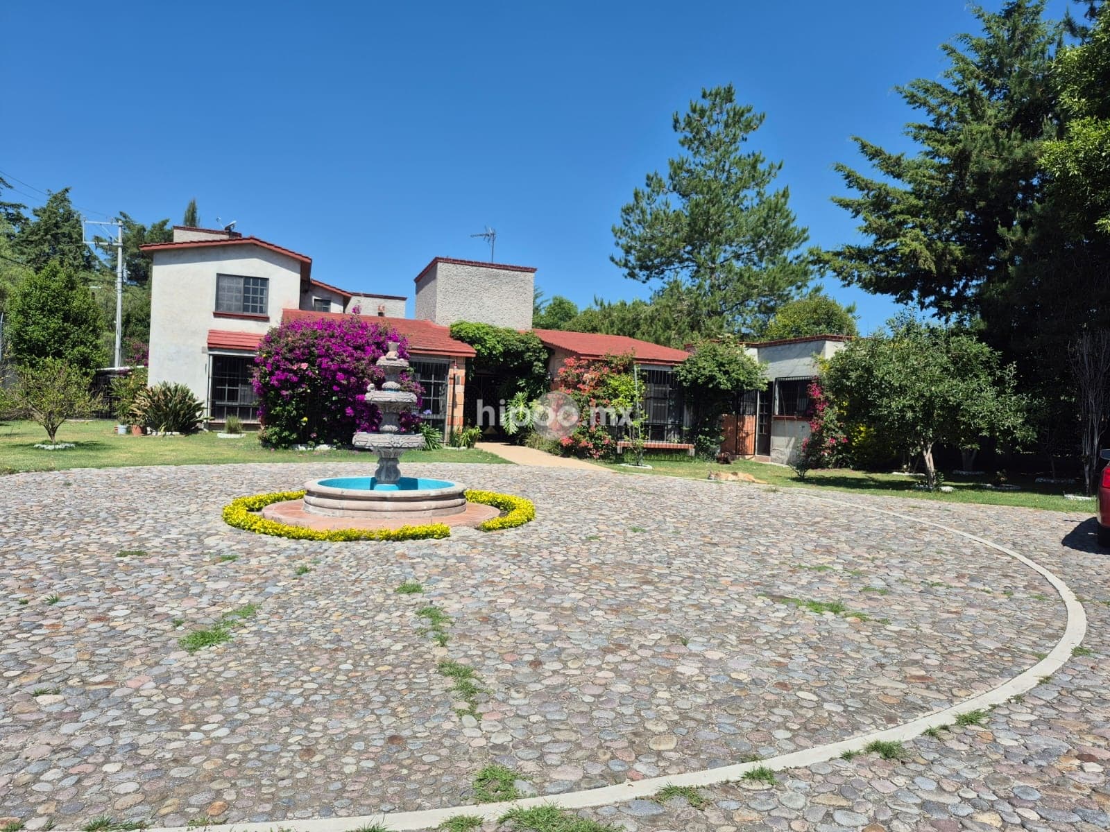 Fotos adicionales