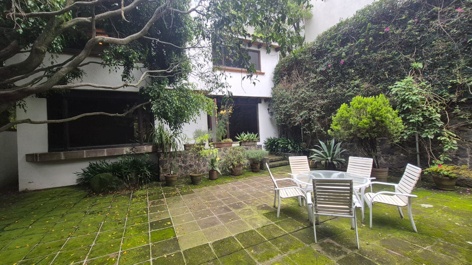 Fotos adicionales