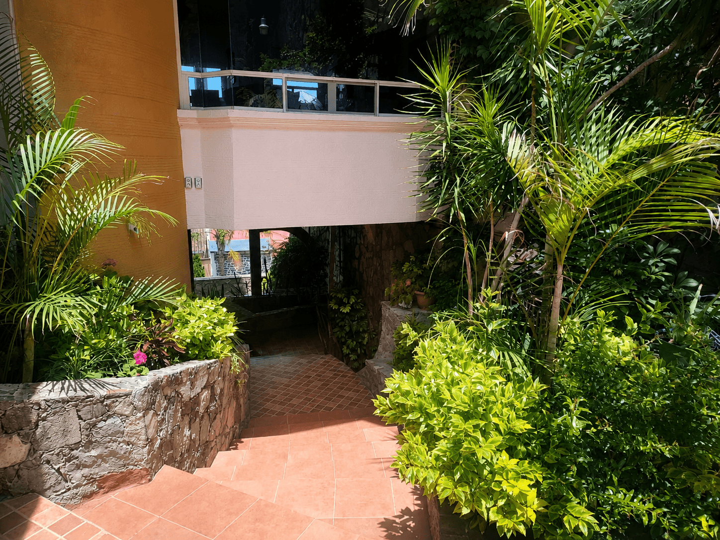 Fotos adicionales