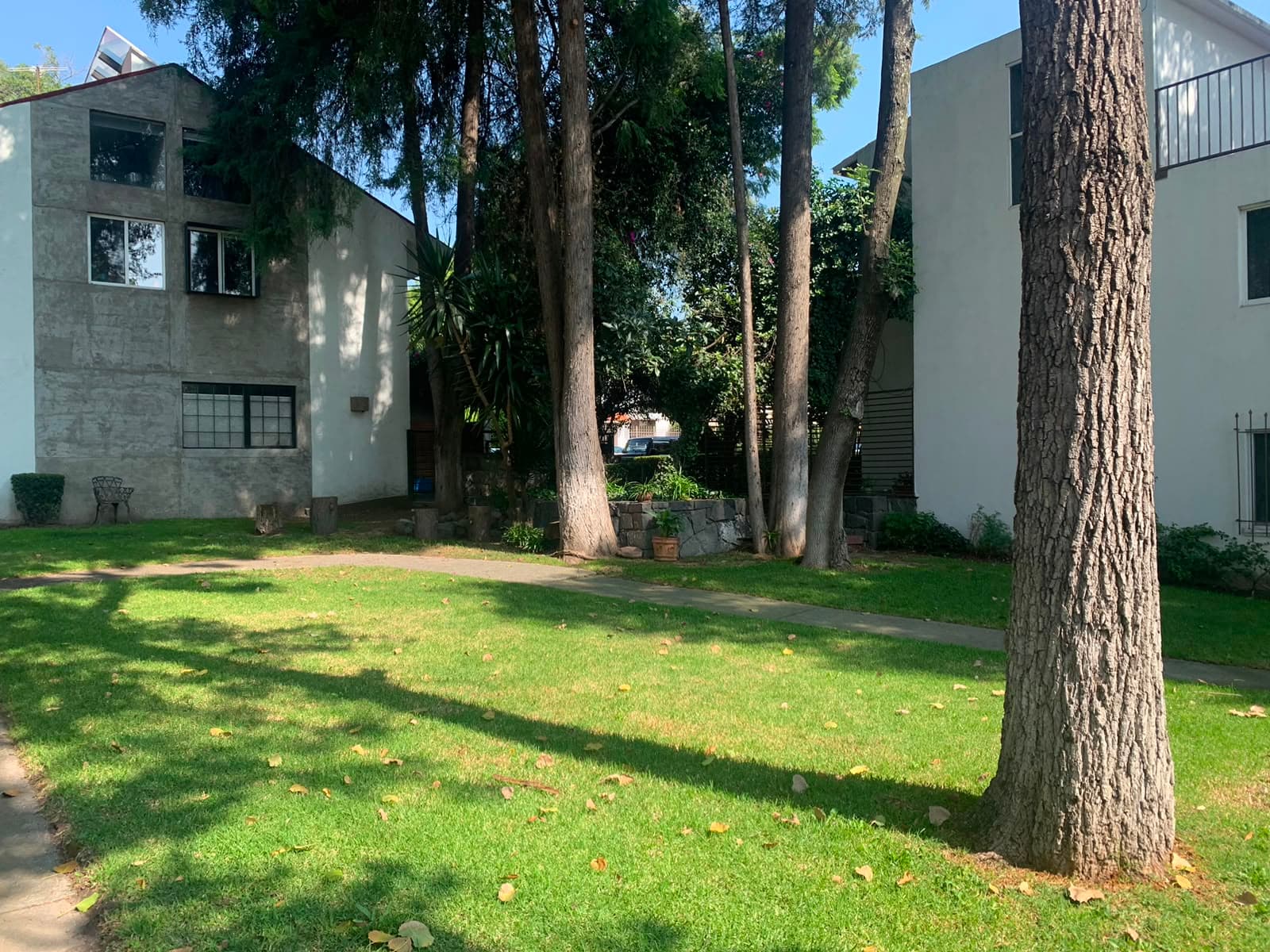 Fotos adicionales