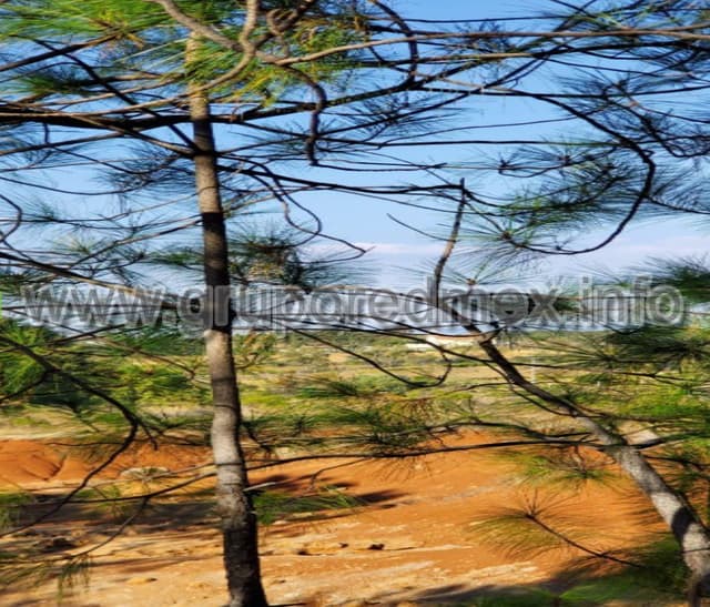 Terreno en venta de 2.6has en Amealco, Querétaro