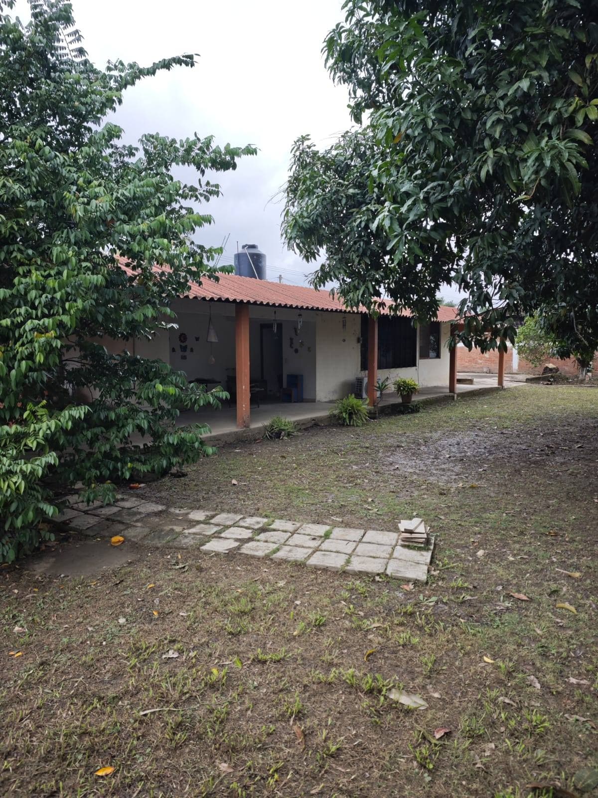 Fotos adicionales